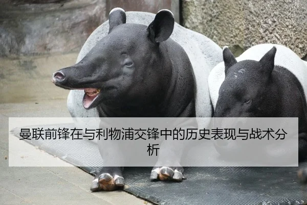 曼联前锋在与利物浦交锋中的历史表现与战术分析